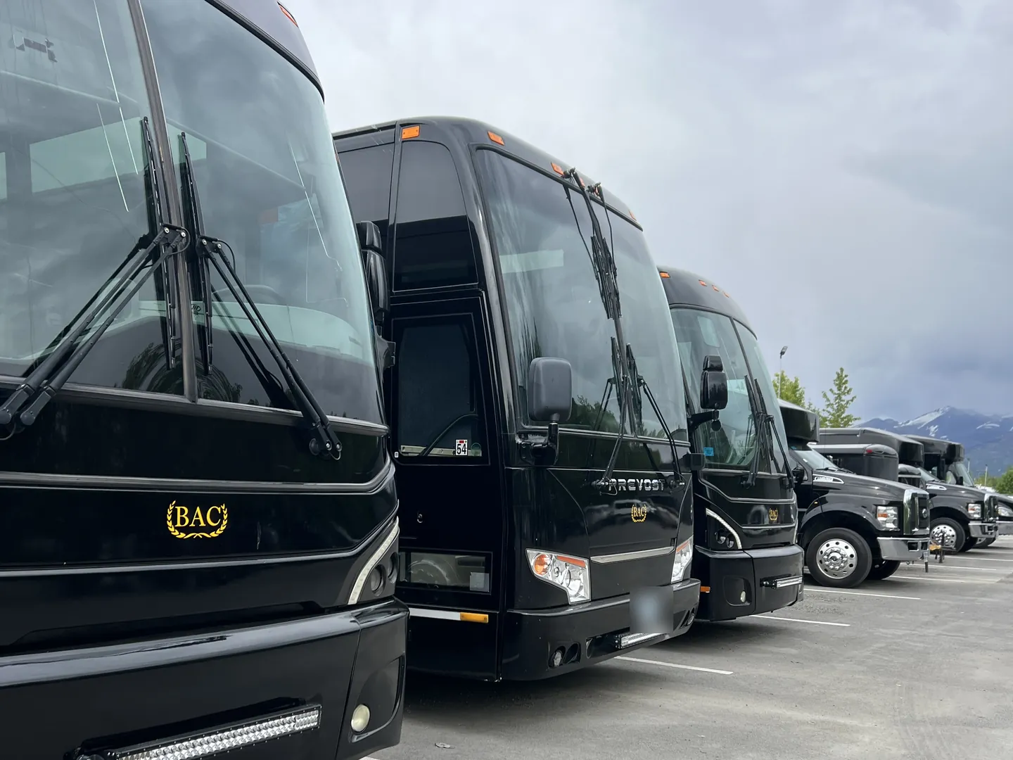 A lineup of BAC Transportation coaches staged for a group program departure